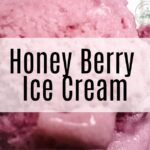 Surprisingly Easy Kid Approved Honey Berry Ice Cream